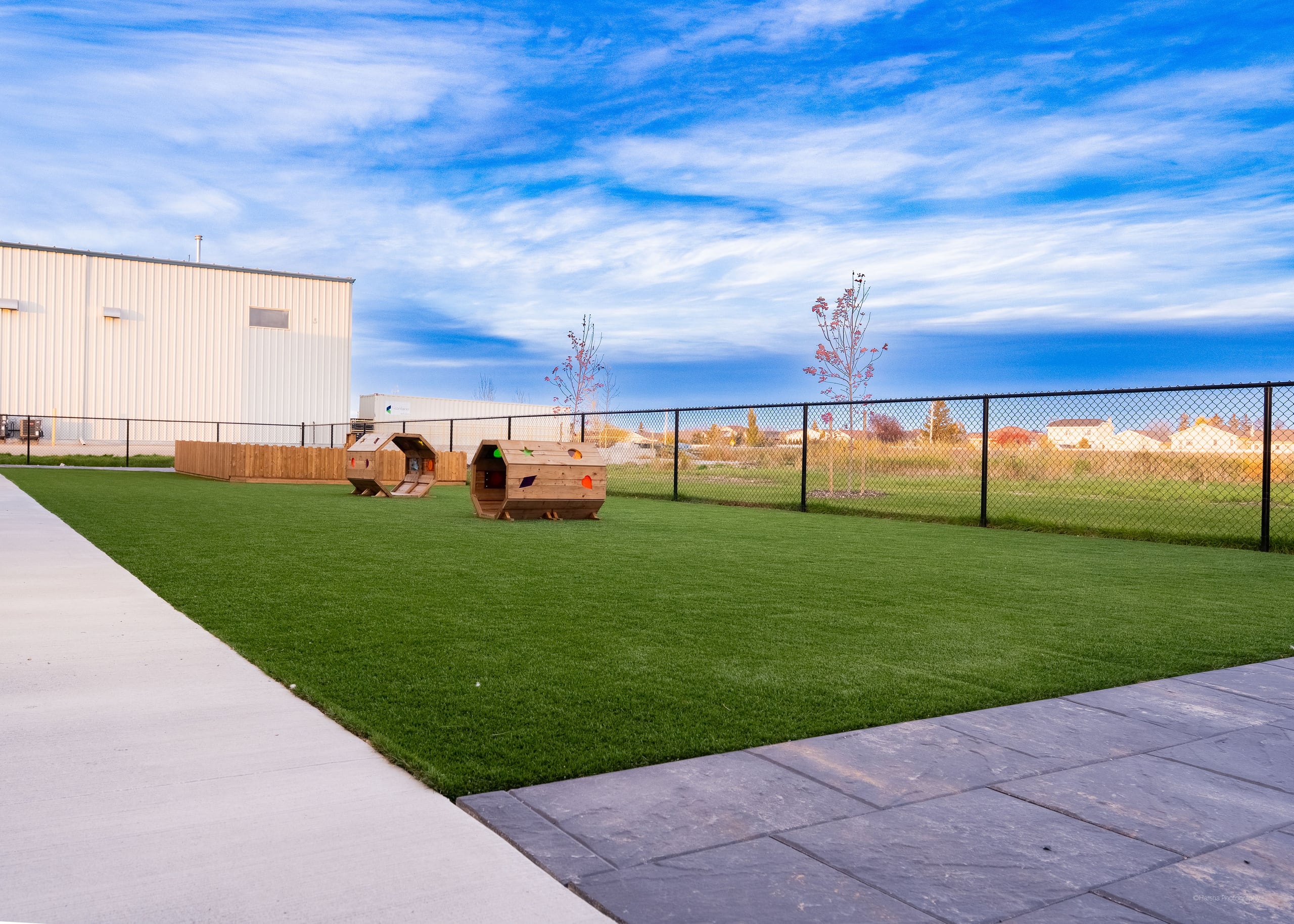 A fenced yard with room to run
